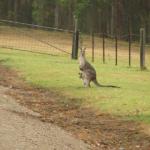 Kangaroo Valley